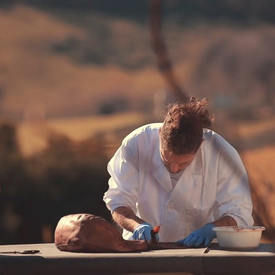 Ví nữ đựng card da bò cao cấp Gianni Conti VP0154RUB