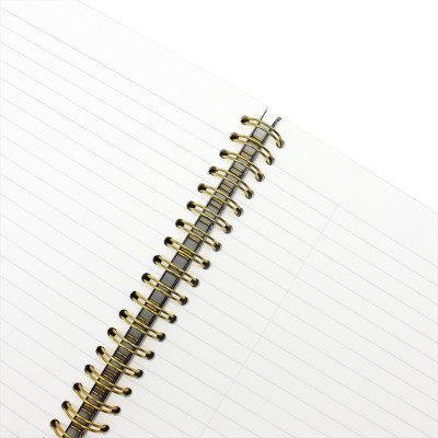 Sổ Lò Xo Bìa Cứng Cao Cấp - K Diary B5 80 Trang - Oxford DF01B5