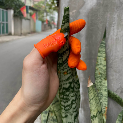 SET Dao Móng Tay Hái Rau Bóc Tỏi Bào Vỏ Củ Quả Kèm 5 Bao Silicon Bảo Vệ Ngón Tay Hamart