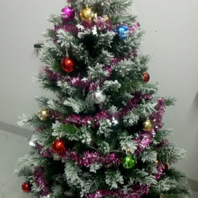 Cây thông noel 3 loại lá phủ tuyết cao 2m4