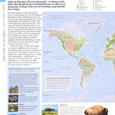 Lịch Sử Tự Nhiên