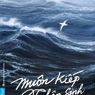 Muôn Kiếp Nhân Sinh 2