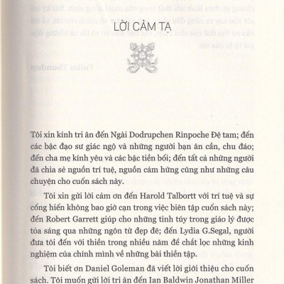 Thiền Chữa Lành Thân Và Tâm (Tái Bản 2020)