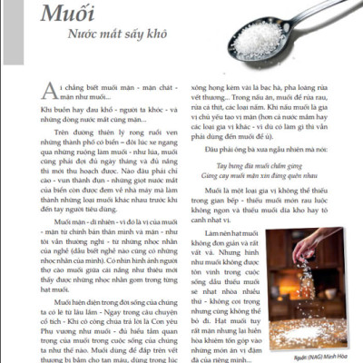 Sách Ẩm Thực - Hơi Thở Của Gia Vị Trong Bếp Việt (VT)