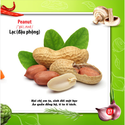 Song Ngữ Anh - Việt CBKPTGXQ - Rau Củ