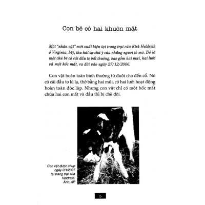 Bí Ẩn Mãi Mãi Là Bí Ẩn 03