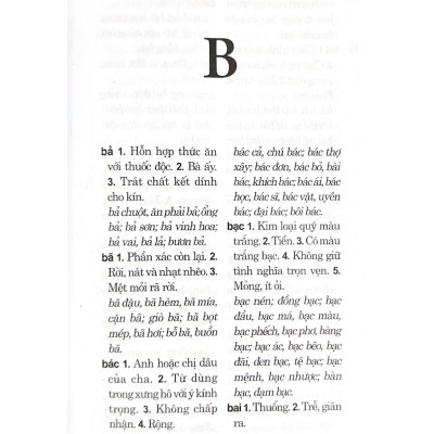 Từ Điển Chính Tả Tiếng Việt - Vanlangbooks