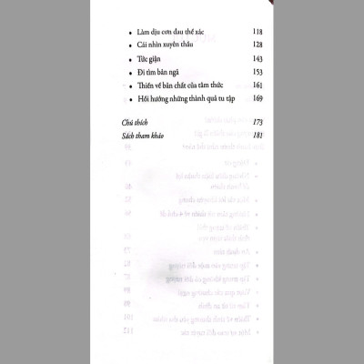 Thực hành thiền định (Tái Bản)