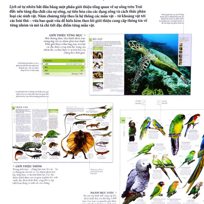 Lịch Sử Tự Nhiên