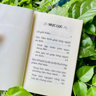 Sách - Tôi chúc phúc cho bạn - Hòa thượng Thánh Nghiêm - Vĩnh nghiêm Books