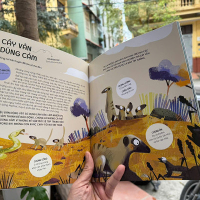 TEAMWORK LÀM VIỆC NHÓM – Bài Học Từ Vương Quốc Động Vật – Tecnoscienza – Hà Anh dịch – Vizibook – NXB Phụ Nữ Việt Nam