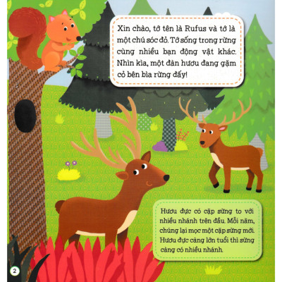 Sách Ghép Hình Phát Triển IQ - Chuyện Trong Rừng Rậm