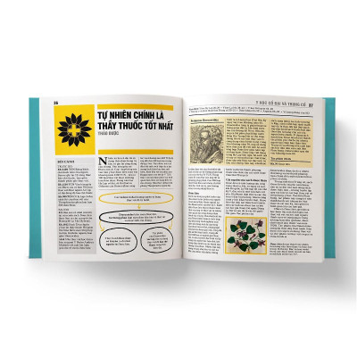 Sách - Y Học - Khái Lược Những Tư Tưởng Lớn - Đông A