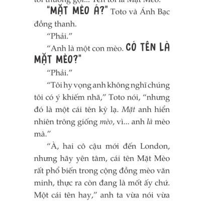 Toto - Cô Mèo Ninja