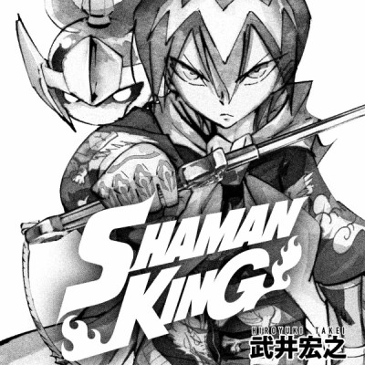 SHAMAN KING 9