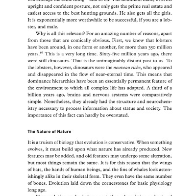 12 Rules For Life: An Antidote To Chaos