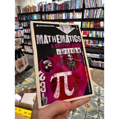 Sách - Introducing Mathematics A Graphic Guide by Ziauddin Sardar - Icon Books Graphic Guide Series