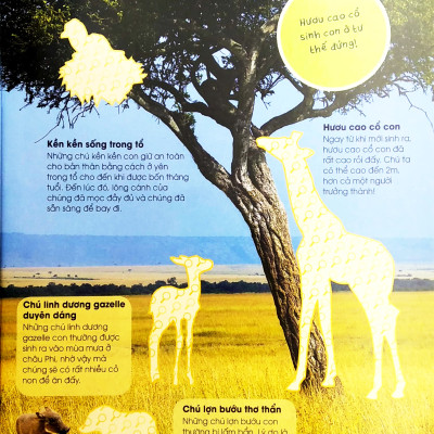 Bóc Dán Tuyệt Đỉnh - Các Em Bé Động Vật