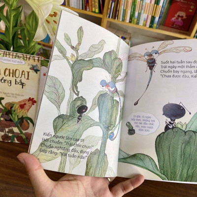 Bộ sách Từ những hạt mầm ( 5 Cuốn ) - Kim Đồng