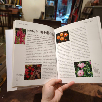 Sách - Guide to Herb With Journal by Jenny Linford - Sách tiếng Anh/ English Book - Sách về thảo Mộc - Medicine