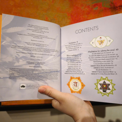 Sách - The Meditation Experience: Your Complete Meditation Workshop by Madonna Gauding