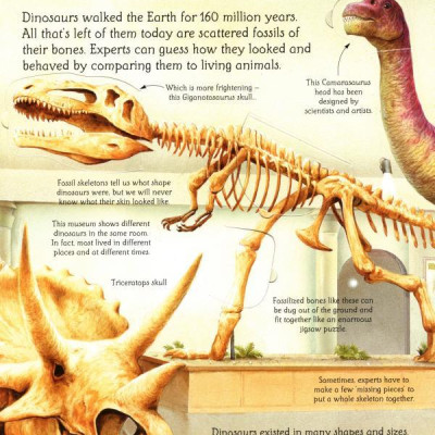 Sách tương tác tiếng Anh - Usborne See Inside the World of Dinosaurs
