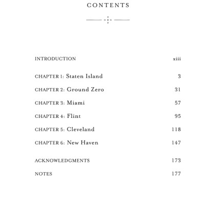 The Undocumented Americans