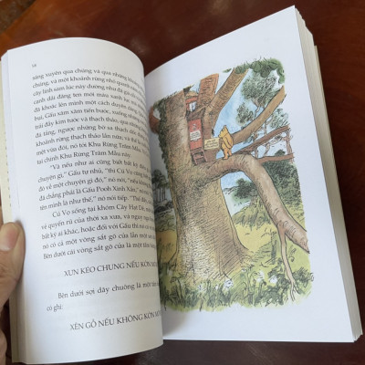 GẤU POOH XINH XẮN – IN MÀU TOÀN BỘ – NHÃ NAM –