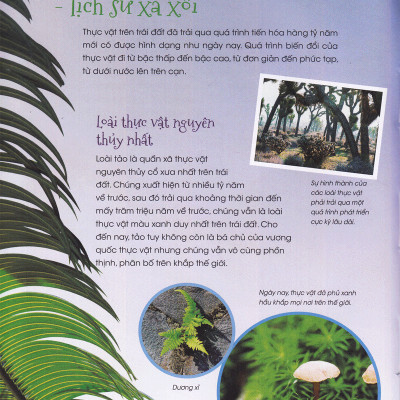 Thiên Nhiên- Những Bí Mật Còn Ẩn Giấu - Gia Đình Thực Vật - 2HBooks