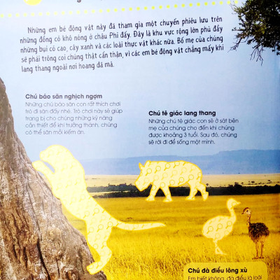 Bóc Dán Tuyệt Đỉnh - Các Em Bé Động Vật