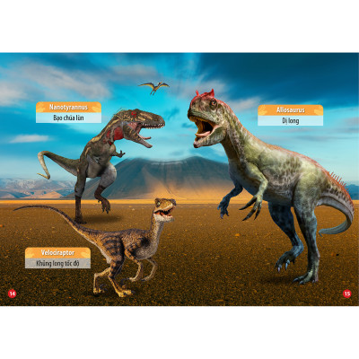 Combo 4 Cuốn: Thế Giới Khủng Long - Thế Giới Loài Chim - Chữ Cái Và Số Đếm - Hoa Rau Củ Quả 
