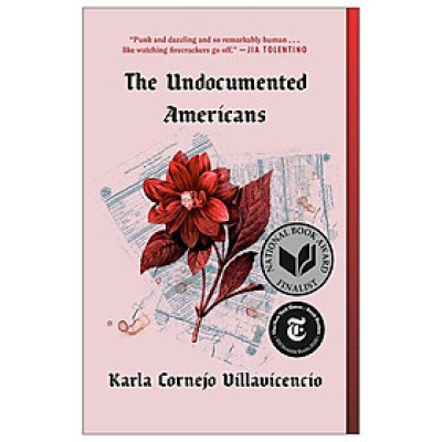 The Undocumented Americans