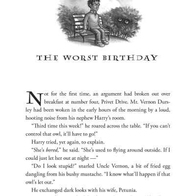 Harry Potter And The Chamber Of Secrets (Harry Potter và Phòng chứa bí mật) (English Book)