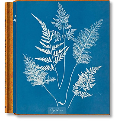 Artbook - Sách Tiếng Anh - Anna Atkins: Cyanotypes