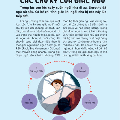 Khám Phá Và Thực Hành Steam Qua Tác Phẩm Kinh Điển - Phù Thủy Xứ Oz_DTI 