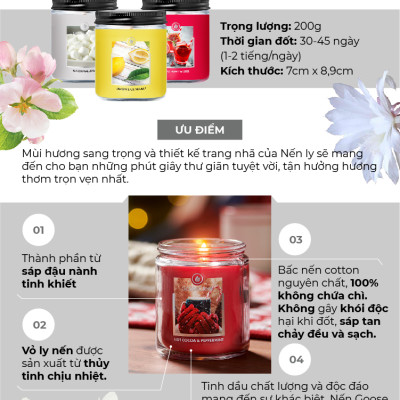 Nến ly Goose Creek (200g) - Apple Pom Twister