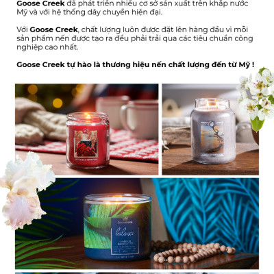 Nến ly 3 bấc sáp đậu nành For Men Goose Creek (411g) - Oud