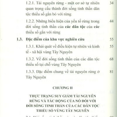 Tác Động Của Suy Giảm Rừng Tới Đời Sống Tinh Thần Các Dân Tộc Thiểu Số Vùng Tây Nguyên (Sách chuyên khảo) - TS. Phạm Xuân Hoàng chủ biên 