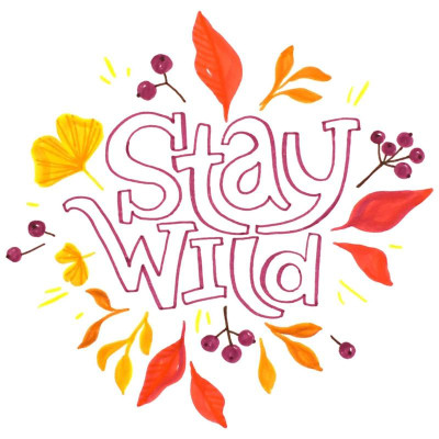 Bộ 12 Bút Lông Màu Nước 2 Đầu - Brush Sign Pen Twin - Pentel Art SESW30C-12E