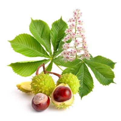 Kem Dưỡng Da Chân Domashnij Doctor