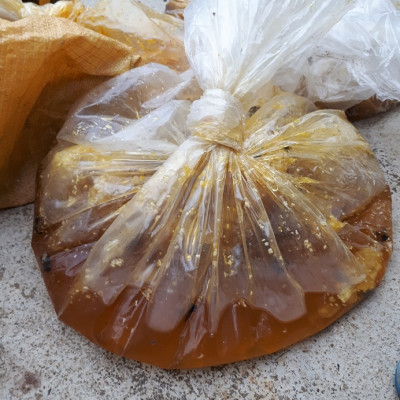 Mật ong rừng đặc sản Kon Tum nguyên chất (1lít))