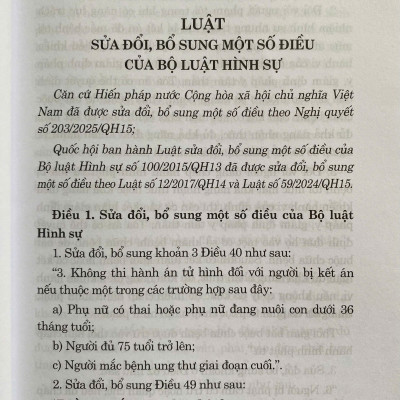 Luật Sửa Đổi, Bổ Sung Một Số Điều Của Bộ Luật Hình Sự Năm 2025