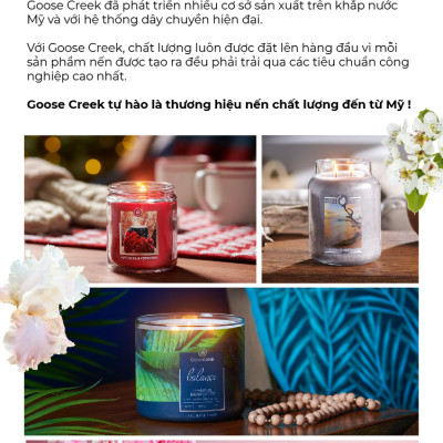 Nến ly Goose Creek (200g) - Succulents