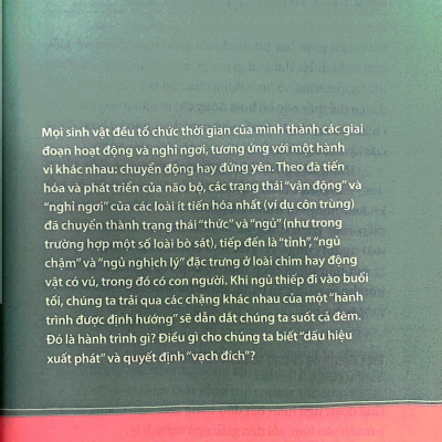 Ngủ Ngon Mỗi Đêm, Sống Khỏe Mỗi Ngày - Bí Mật Phía Sau Một Giấc Ngủ Chất Lượng