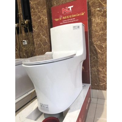 BỒN CẦU NHẬP KHẨU XẢ XOÁY 4D R803