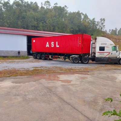 Thảm lót cốp ô tô nhựa TPU Land Rover Range Rover Sport first generation (L320) 2005-2013 Nhãn hiệu Macsim