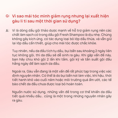 Combo 2 Dầu gội thảo dược Fresh Shampoo giảm rụng tóc, giảm gàu, nuôi dưỡng tóc mềm mượt và chắc khỏe từ gốc