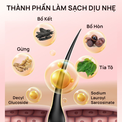 Dầu gội thảo dược Fresh Shampoo giảm rụng tóc, giảm gàu, nuôi dưỡng tóc mềm mượt và chắc khỏe từ gốc 500ml