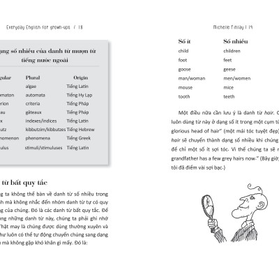 Sách Everyday English For Grown-Ups - Tự Học Tiếng Anh Cho Người Bận Rộn _AZ