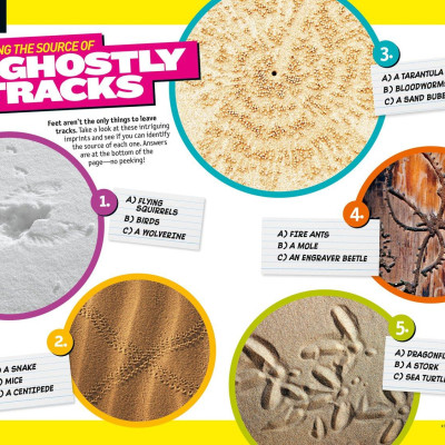 Weird But True!: Ripped From The Headlines 3: Real-Life Stories You Have To Read To Believe